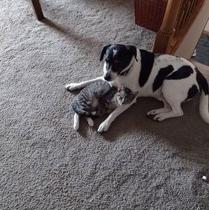 Meet your Posher, Linda